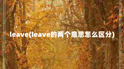 leave(leave的两个意思怎么区分)