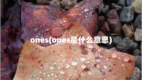 ones(ones是什么意思)