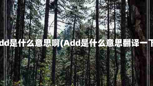 add是什么意思啊(Add是什么意思翻译一下)