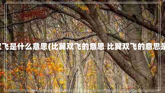 比翼双飞是什么意思(比翼双飞的意思 比翼双飞的意思是什么)