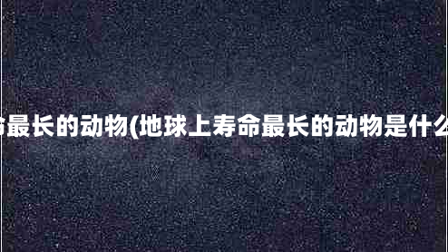 寿命最长的动物(地球上寿命最长的动物是什么？)