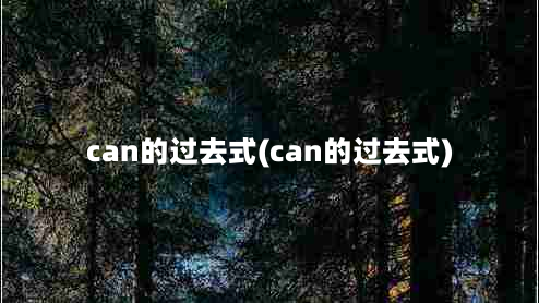 can的过去式(can的过去式)