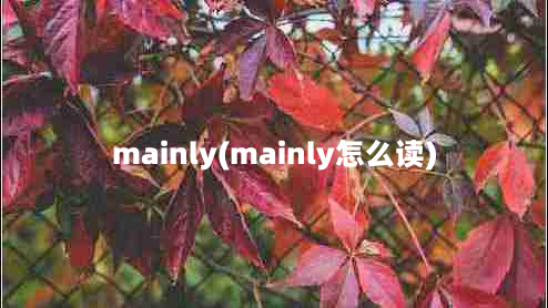 mainly(mainly怎么读)