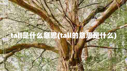 tall是什么意思(tall的意思是什么)