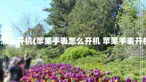 苹果手表怎么开机(苹果手表怎么开机 苹果手表开机的 *** )