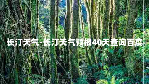 长汀天气-长汀天气预报40天查询百度