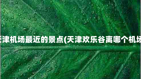 离天津机场最近的景点(天津欢乐谷离哪个机场近)