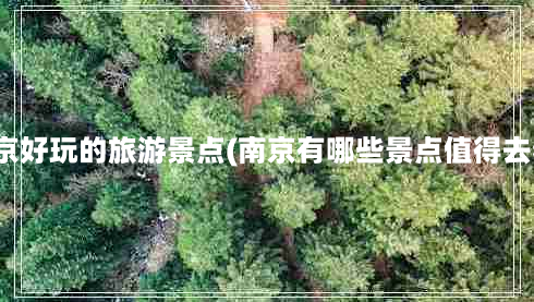 南京好玩的旅游景点(南京有哪些景点值得去看)