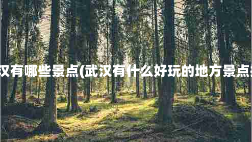 湖北武汉有哪些景点(武汉有什么好玩的地方景点推荐？)