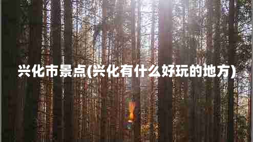 兴化市景点(兴化有什么好玩的地方)