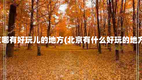 北京哪有好玩儿的地方(北京有什么好玩的地方？)