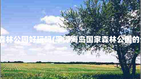 平潭森林公园好玩吗(平潭海岛国家森林公园的介绍)