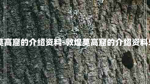 敦煌莫高窟的介绍资料-敦煌莫高窟的介绍资料500字