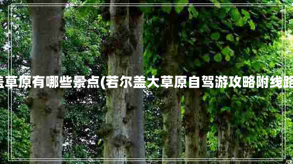 若尔盖草原有哪些景点(若尔盖大草原自驾游攻略附线路推荐)