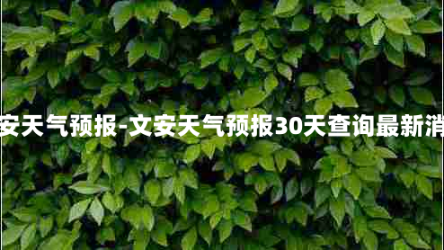 文安天气预报-文安天气预报30天查询最新消息