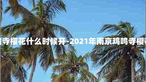 南京鸡鸣寺樱花什么时候开-2021年南京鸡鸣寺樱花开了吗