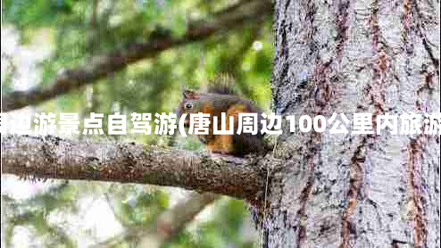 唐山周边游景点自驾游(唐山周边100公里内旅游景点)