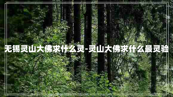 无锡灵山大佛求什么灵-灵山大佛求什么最灵验