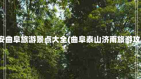 泰安曲阜旅游景点大全(曲阜泰山济南旅游攻略)