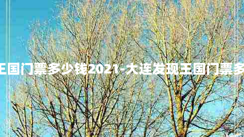 大连发现王国门票多少钱2021-大连发现王国门票多少钱2023