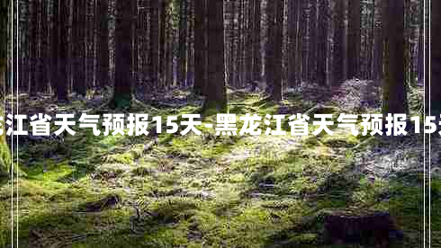 黑龙江省天气预报15天-黑龙江省天气预报15天气