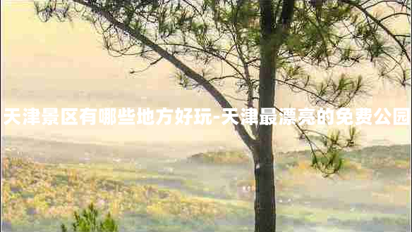 天津景区有哪些地方好玩-天津最漂亮的免费公园