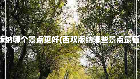 西双版纳哪个景点更好(西双版纳哪些景点最值得去)