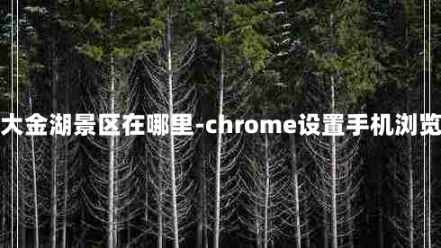 福建大金湖景区在哪里-chrome设置手机浏览模式