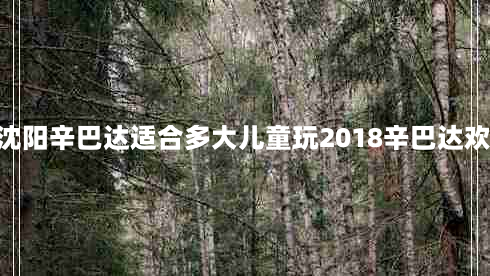 辛巴达欢乐城堡好玩吗(沈阳辛巴达适合多大儿童玩2018辛巴达欢乐城堡门票+年卡+交通)