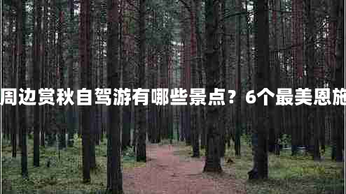 武汉到恩施沿途景点(11月武汉周边赏秋自驾游有哪些景点？6个最美恩施浪漫怀旧自驾游景点线路推荐)