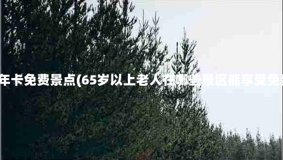 老年卡免费景点(65岁以上老人在哪些景区能享受免费)