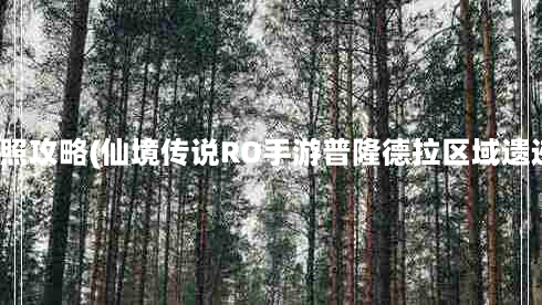 仙境传说景点拍照攻略(仙境传说RO手游普隆德拉区域遗迹景点位置攻略)