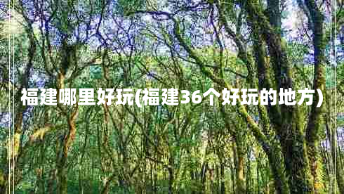 福建哪里好玩(福建36个好玩的地方)