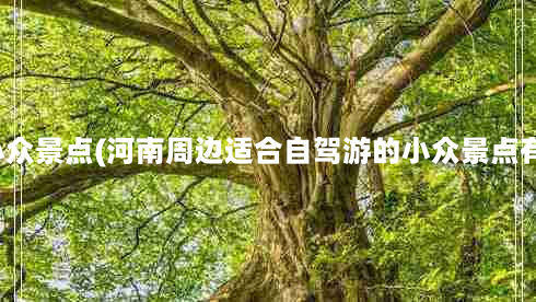 河南小众景点(河南周边适合自驾游的小众景点有哪些)