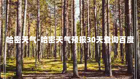 哈密天气-哈密天气预报30天查询百度