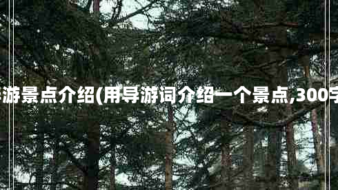 导游景点介绍(用导游词介绍一个景点,300字)