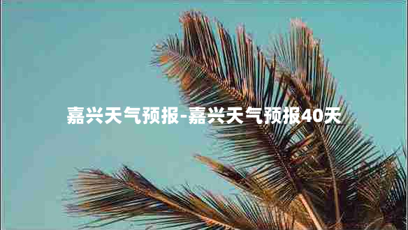 嘉兴天气预报-嘉兴天气预报40天