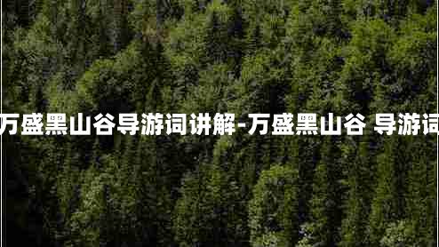 万盛黑山谷导游词讲解-万盛黑山谷 导游词