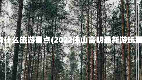 高明区有什么旅游景点(2022佛山高明最新游玩景点推荐)