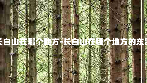 长白山在哪个地方-长白山在哪个地方的东部