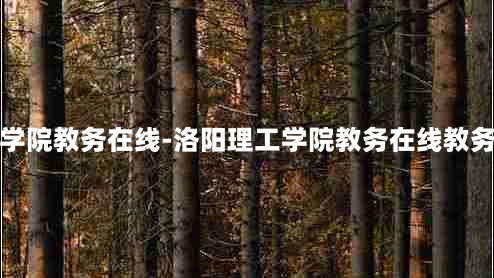 洛阳理工学院教务在线-洛阳理工学院教务在线教务管理系统