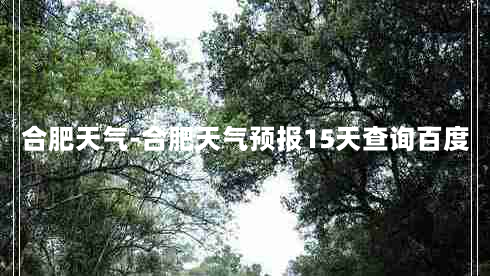 合肥天气-合肥天气预报15天查询百度