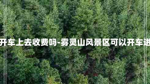 雾灵山开车上去收费吗-雾灵山风景区可以开车进去了吗