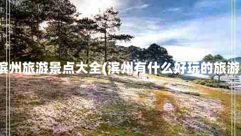 山东滨州旅游景点大全(滨州有什么好玩的旅游景点)