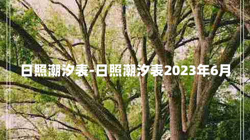 日照潮汐表-日照潮汐表2023年6月