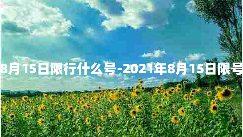 8月15日限行什么号-2021年8月15日限号