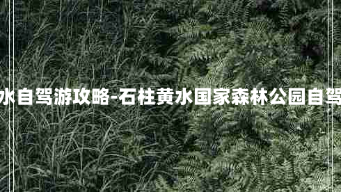 石柱黄水自驾游攻略-石柱黄水国家森林公园自驾游攻略