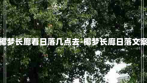 椰梦长廊看日落几点去-椰梦长廊日落文案