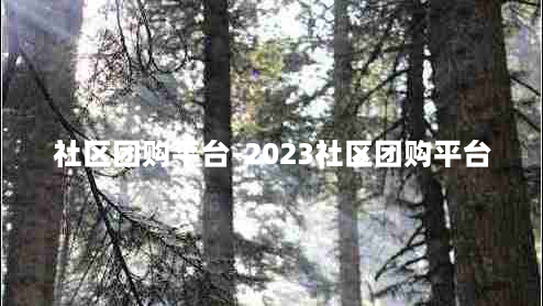 社区团购平台-2023社区团购平台