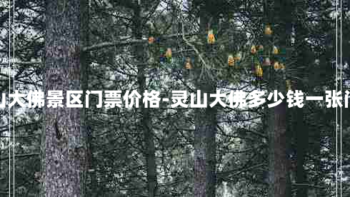 灵山大佛景区门票价格-灵山大佛多少钱一张门票